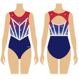 Custom design mesh short sleeve back zip gymnastics leotards ballet leotard dance wear